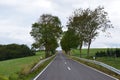 autumn avenue up a steep hill in the Eifel