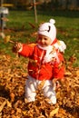 Autumn baby