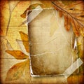 Autumn background Royalty Free Stock Photo