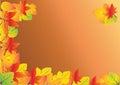 Autumn background