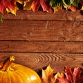 Autumn background Royalty Free Stock Photo
