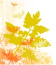 Autumn background