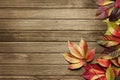 Autumn background