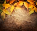 Autumn background