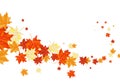 Autumn background Royalty Free Stock Photo