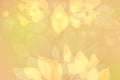 Autumn background. Abstract festive autumn gradient golden pastel bright background texture with leaves. Indian summer. Space Royalty Free Stock Photo