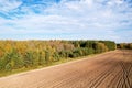 Autumn background. Aerial view of the field near the forest in the countryside. Agricultural field after arable land and sowing. Royalty Free Stock Photo