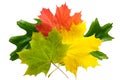 Autumn background. Royalty Free Stock Photo