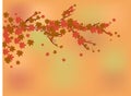 Autumn background, autumn leaves fly from a branch