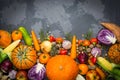 Autumn background: autumn vegetables, fruits, nuts on a beton background