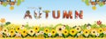 Autumn background banner,Cute Autumnal landscape of Sunflower field and butterfly with blue sky background,Vector backdrop