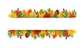 Autumn background. Banner with leaves border. Frame with leaf on white background. Garland with foliage of maple, rowan and oak.