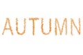 Autumn background basic inscription leaf maple yellow red brown on white background design base