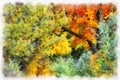 Autumn background beautiful colorful forest landscape nature park with trees in watercolor artistic style pattern.