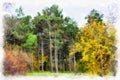 Autumn background beautiful colorful forest landscape nature park with trees in watercolor artistic style pattern.