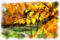 Autumn background beautiful colorful forest landscape nature park with trees in watercolor artistic style pattern. Royalty Free Stock Photo