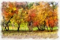 Autumn background beautiful colorful landscape nature park with trees in watercolor artistic style pattern. Royalty Free Stock Photo