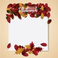 Autumn background blank template for promotion