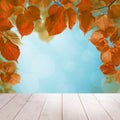 Autumn Background with Blue Sky, Fall Linden Leaves Bokeh Light