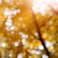 Autumn background with bokeh and sun flare