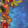 Autumn Background Border with Food Flora and Fauna