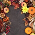 Autumn Harvest Festival Background Border