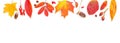 Autumn background border. Vivid fall leaves on white background