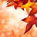 Autumn background bordered with leaves Royalty Free Stock Photo