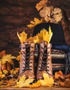 Autumn background with brown leather boots, fall warm clothes, scarves and felt hat, pumpkins, maple and oak leaves on rustic wood Royalty Free Stock Photo