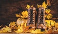 Autumn background with brown leather boots, pumpkins, maple and oak leaves on rustic wood background,. Country style female Royalty Free Stock Photo