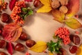 Autumn background with chestnuts and fall leaves, shot from the top with a place for text Royalty Free Stock Photo