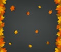 Autumn background collection. Falling leaves. Vector background