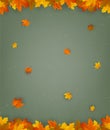 Autumn background collection. Falling leaves. Vector background