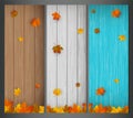 Autumn background collection. Falling leaves. Vector background