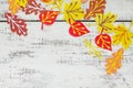 Autumn background with colored different leaves of paper on a wooden background.