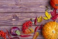 Autumn background with colorful ash-tree and maple leaves, acorns, ashberry, apples and pumpkins.