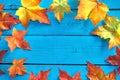 Autumn background with colorful fall maple leaves on blue rustic wooden table with place for text. Thanksgiving autumn holidays Royalty Free Stock Photo