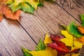 Autumn background with colorful fall maple leaves on rustic wooden table. Thanksgiving holidays concept. Green, yellow Royalty Free Stock Photo