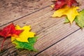 Autumn background with colorful fall maple leaves on rustic wooden table. Thanksgiving holidays concept. Green, yellow Royalty Free Stock Photo