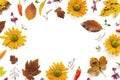 Autumn Background With Colorful Leaves And Flowers