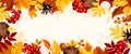 Autumn background with colorful autumn leaves, rowanberries, and cones. Vector banner or header