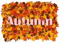 Autumn background with colorful leaves and word autumn Royalty Free Stock Photo