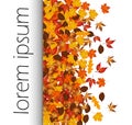 Autumn background with colorful leaves and word autumn Royalty Free Stock Photo