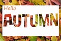Autumn background with colorful maple leaves and inscription Hello autumn Royalty Free Stock Photo