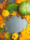 Autumn background with colorful maple leaves and pumpkins, corns, chesnuts, Frame of fall harvest with copy space. Mockup for