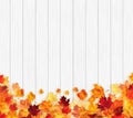 Autumn background with colourful frame of maple leaves, orange, yellow ,red on white wood texture.Beautiful fall leaves decorative Royalty Free Stock Photo