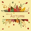 Autumn background with colourful leaves background Royalty Free Stock Photo