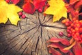 Autumn background with colourful leaves Royalty Free Stock Photo