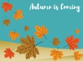 Autumn background with Autumn is coming text with autumn leaves fall on the hill