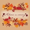 Autumn background with Autumn is coming text on autumn leaves frame